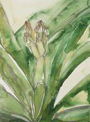 poised I
(sold)